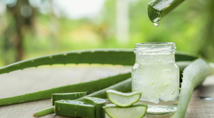 5 Beneficios del aloe vera | Guía completa sobre sus usos y preparaciones beneficios del aloe vera