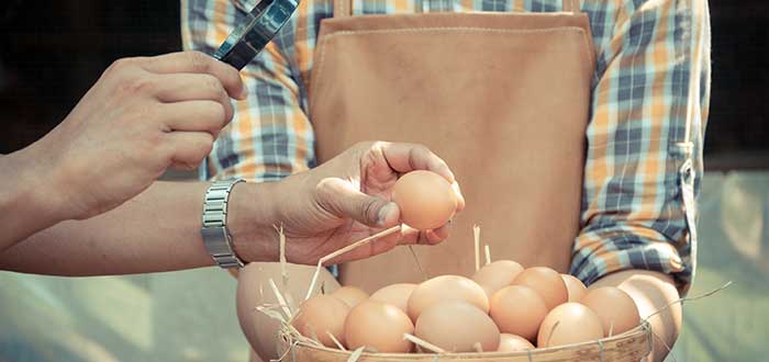 Cómo saber si un huevo está en buen estado | Inspección visual