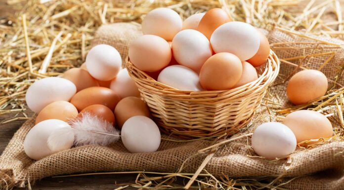 Cómo saber si un huevo esta en buen estado | 5 Métodos infalibles como saber si un huevo esta en buen estado