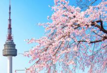 Aplicaciones para aprender coreano gratis | Idioma joven e interesante Aplicaciones para aprender coreano gratis