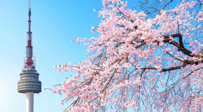 Aplicaciones para aprender coreano gratis | Idioma joven e interesante Aplicaciones para aprender coreano gratis