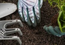 Paso a paso para hacer compost en casa | DESDE CERO