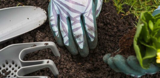 Paso a paso para hacer compost en casa | DESDE CERO