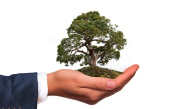 10 Formas de ser una empresa eco-friendly | Cuidemos el entorno empresa eco-friendly