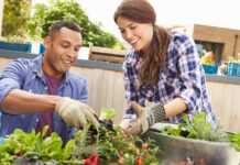 Cómo hacer una mini huerta en tu balcón | Fácil, rápido y gratificante huerta en tu balcón